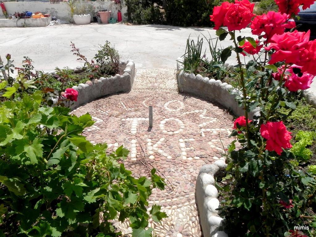 Mihalis Studios Lakki  Oda fotoğraf