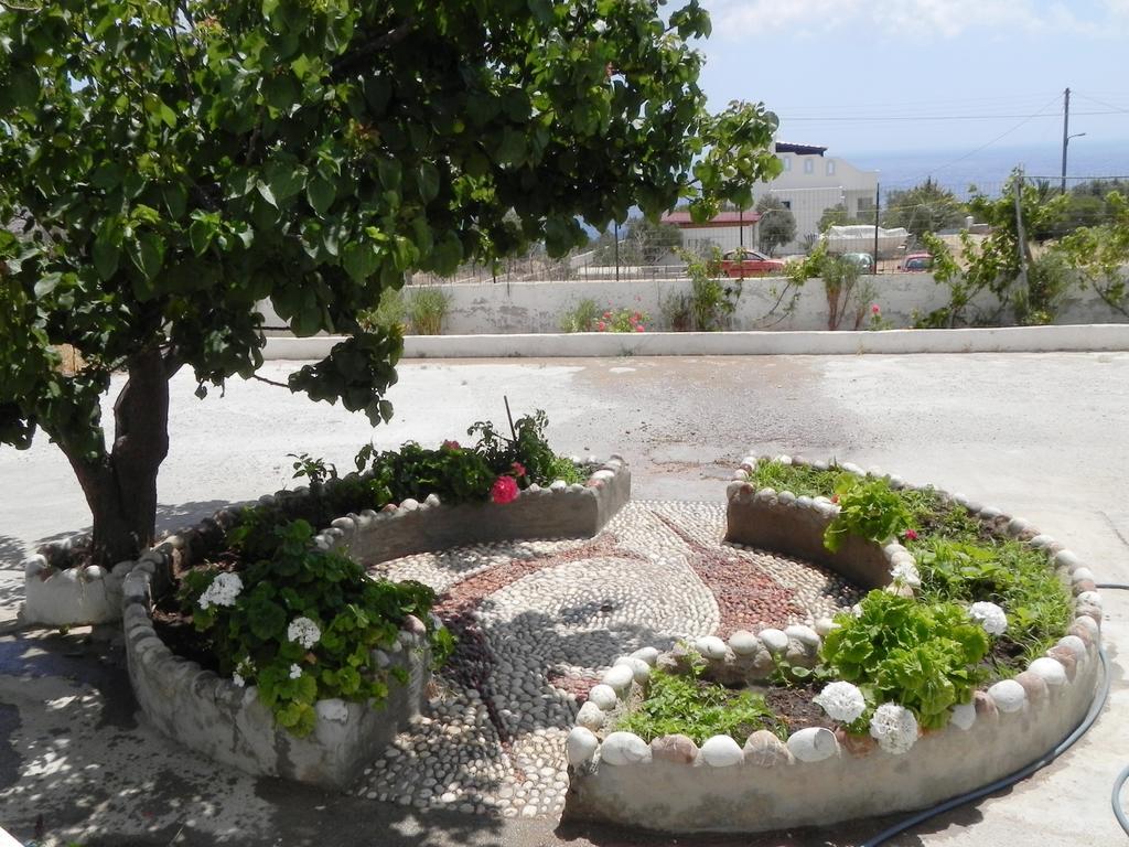 Mihalis Studios Lakki  Oda fotoğraf